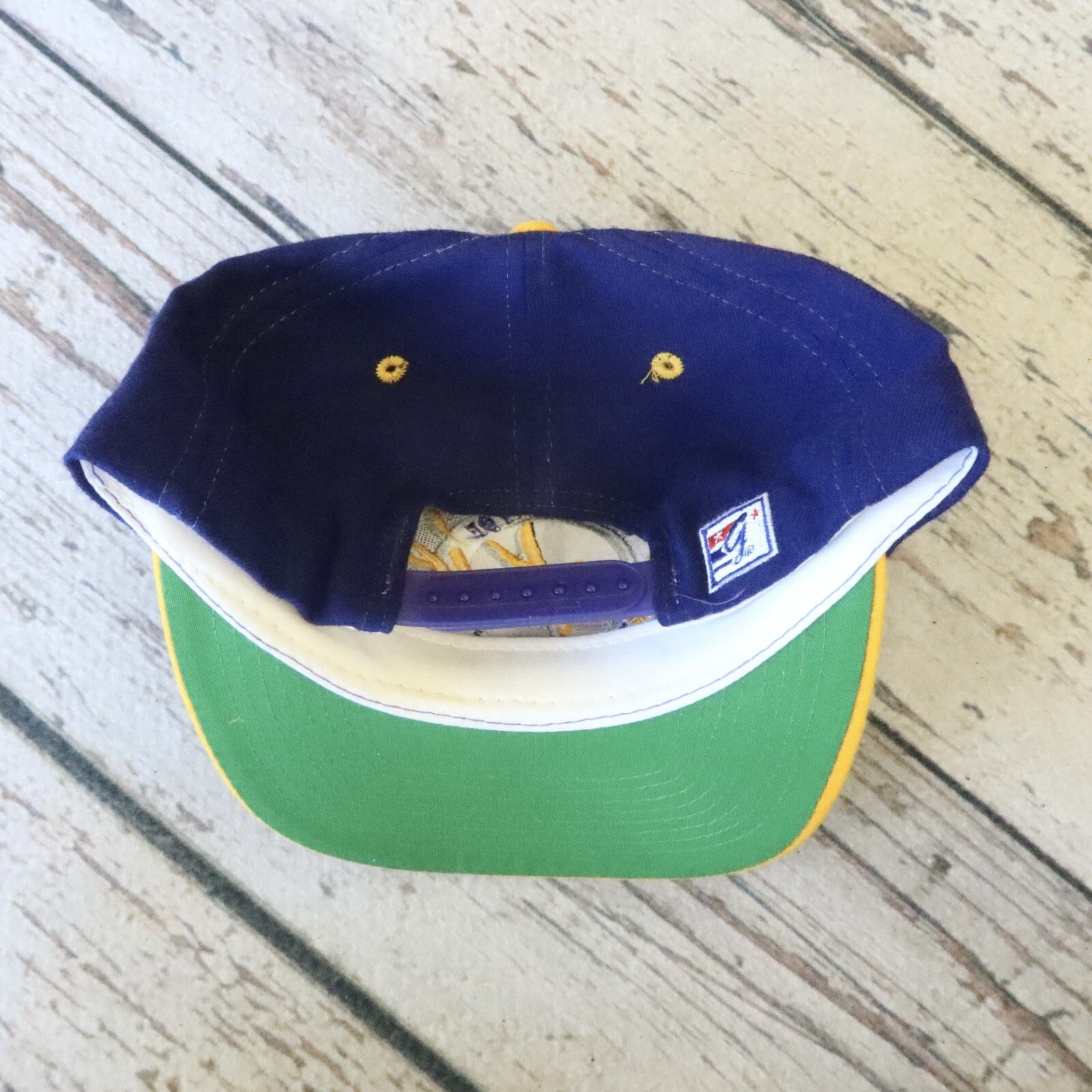 Vintage 90s University of Washington Huskies Snapback Hat The Game